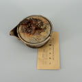 Bizen-yaki Dragon-knob Houbin Teapot